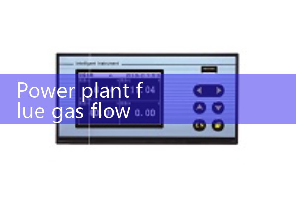 Power plant flue gas flowmeter